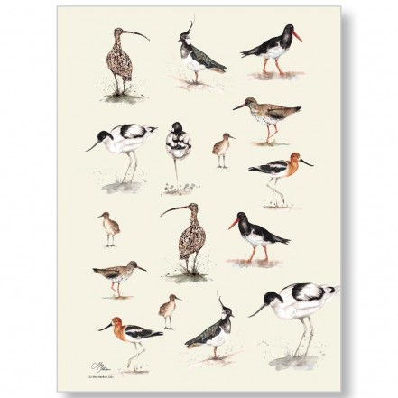 Galley Cloth Sea Birds